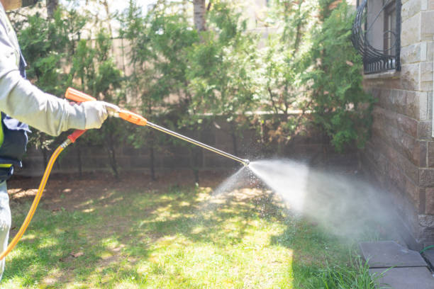 Best Pest Prevention Services  in Sa Conejo, CA